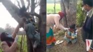 वैक्सीन का खौफ! पेड़ पर चढ़कर बोली लड़की- नहीं लगवाएंगे टीका, फिर जो हुआ... देखें Viral Video